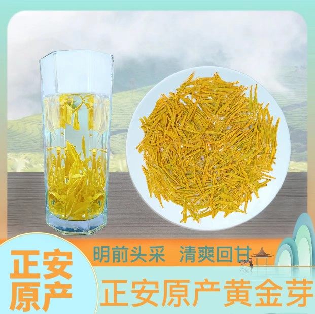 2022正安白茶黄金芽明前黄金芽高山云雾茶鲜爽回甘250g春季贵州