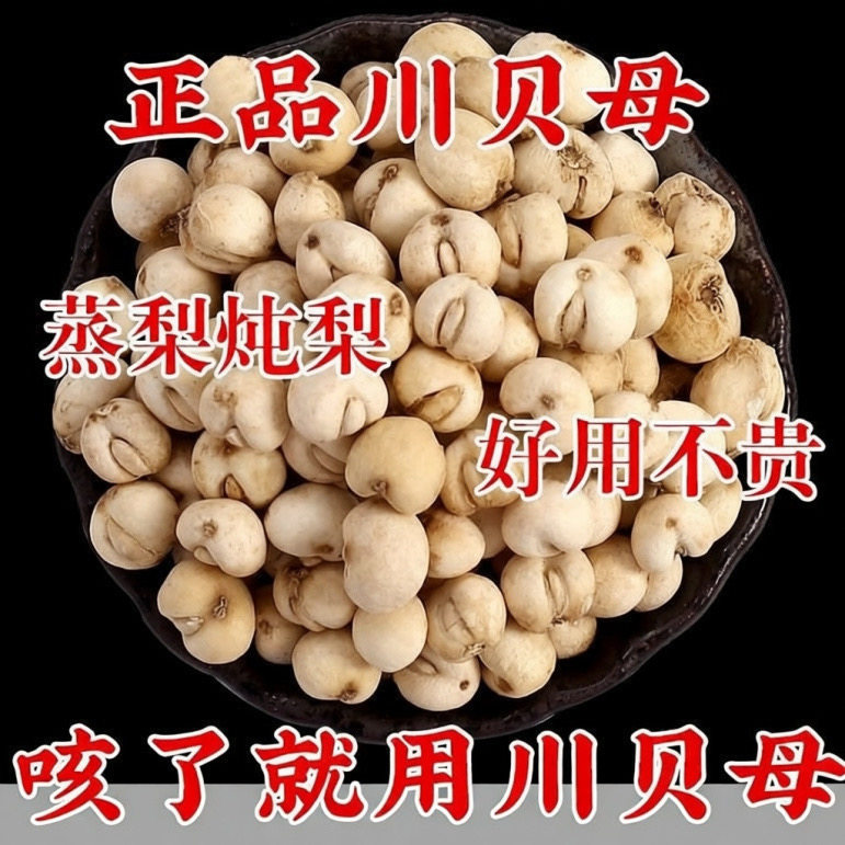 川贝正宗贝母四川批发无硫雪梨膏枇杷膏川贝母非松贝母特级正品