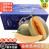 海南西洲蜜哈密瓜大瓜孕妇热带当季 包邮 新鲜水果一整箱礼盒装 顺丰