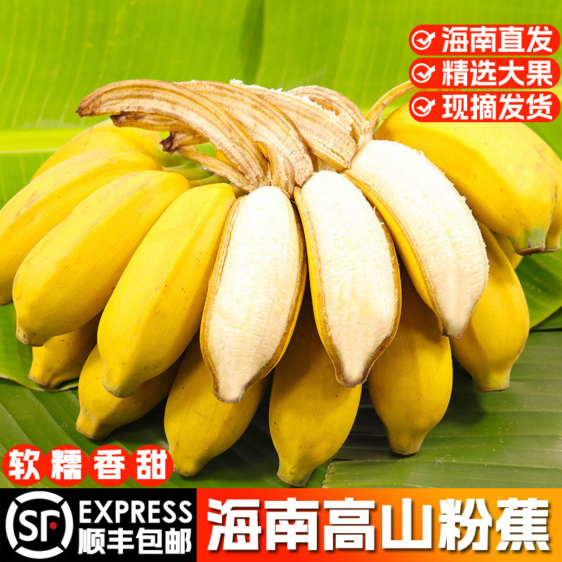 海南高山粉蕉芭蕉热带当季新鲜水果香甜软糯香蕉产地直发顺丰包邮
