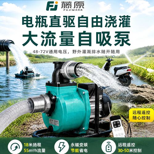 电瓶直插高压大流量农用灌溉水泵