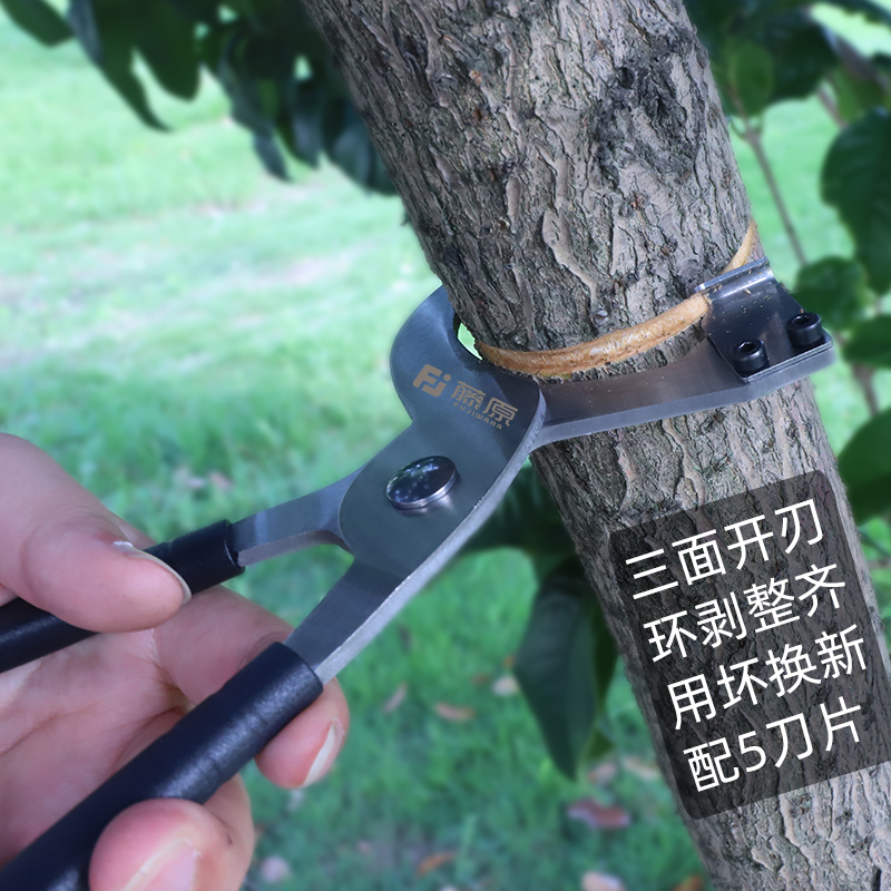 藤原环割刀环剥剪器钳骟苹果枣树果树剥皮刀园林工具割树皮开甲刀 鲜花速递/花卉仿真/绿植园艺 剪刀 原图主图