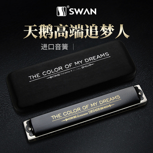 德国进口音簧天鹅追梦人复音口琴24孔专业演奏高级初学者学生入门