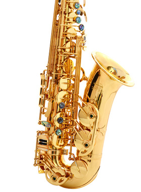 双键筋中音萨克斯降E调儿童初学成人考级演奏saxophone