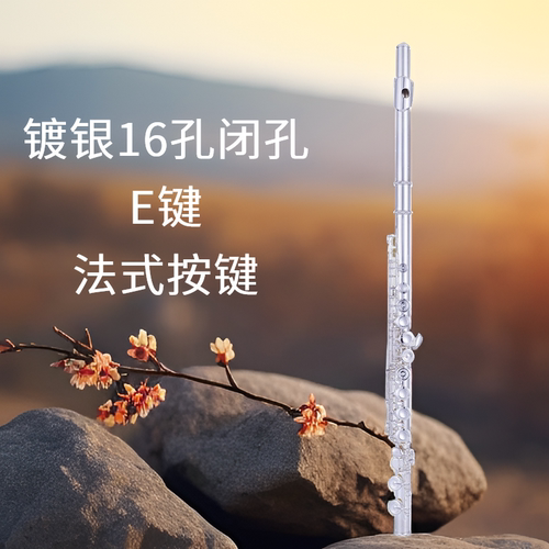 专业演奏铜管乐器白铜按键E键分割C调镀银16闭孔法式按键