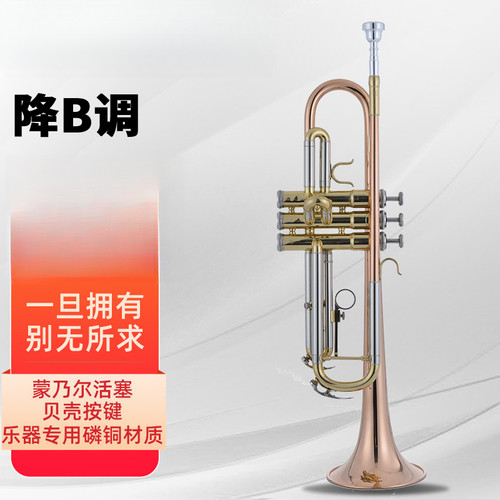 乐队专用小号降B调管乐器磷铜初学考级演奏成人学生三立键推荐