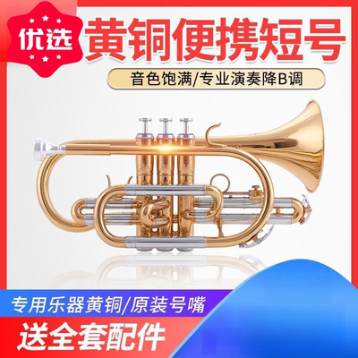 短号乐器小号乐器漆金降B调专业管弦精选成人学生精制音色宏亮