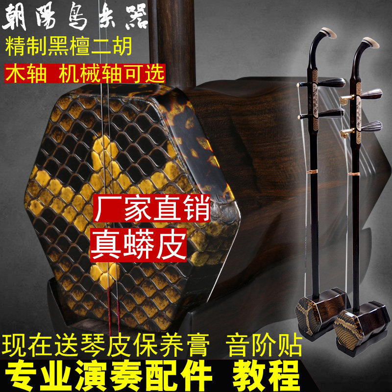 黑檀木二胡乐器成人学生儿童演奏考级全套装通用木轴机械轴精品