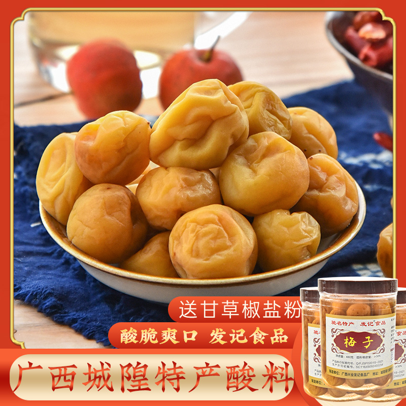 广西酸嘢 发记梅子480g*3瓶 城隍酸料泡水果腌制青梅咸酸梅果酸嘢