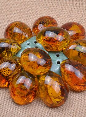 真昆虫标本海蓝蝴蝶蝎子制