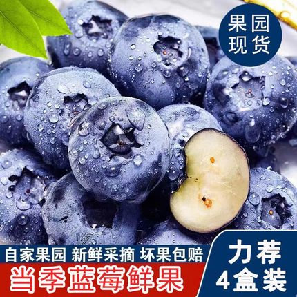 【果园直发】当季新鲜蓝莓鲜果 现摘宝宝辅食孕妇新鲜水果125g/盒