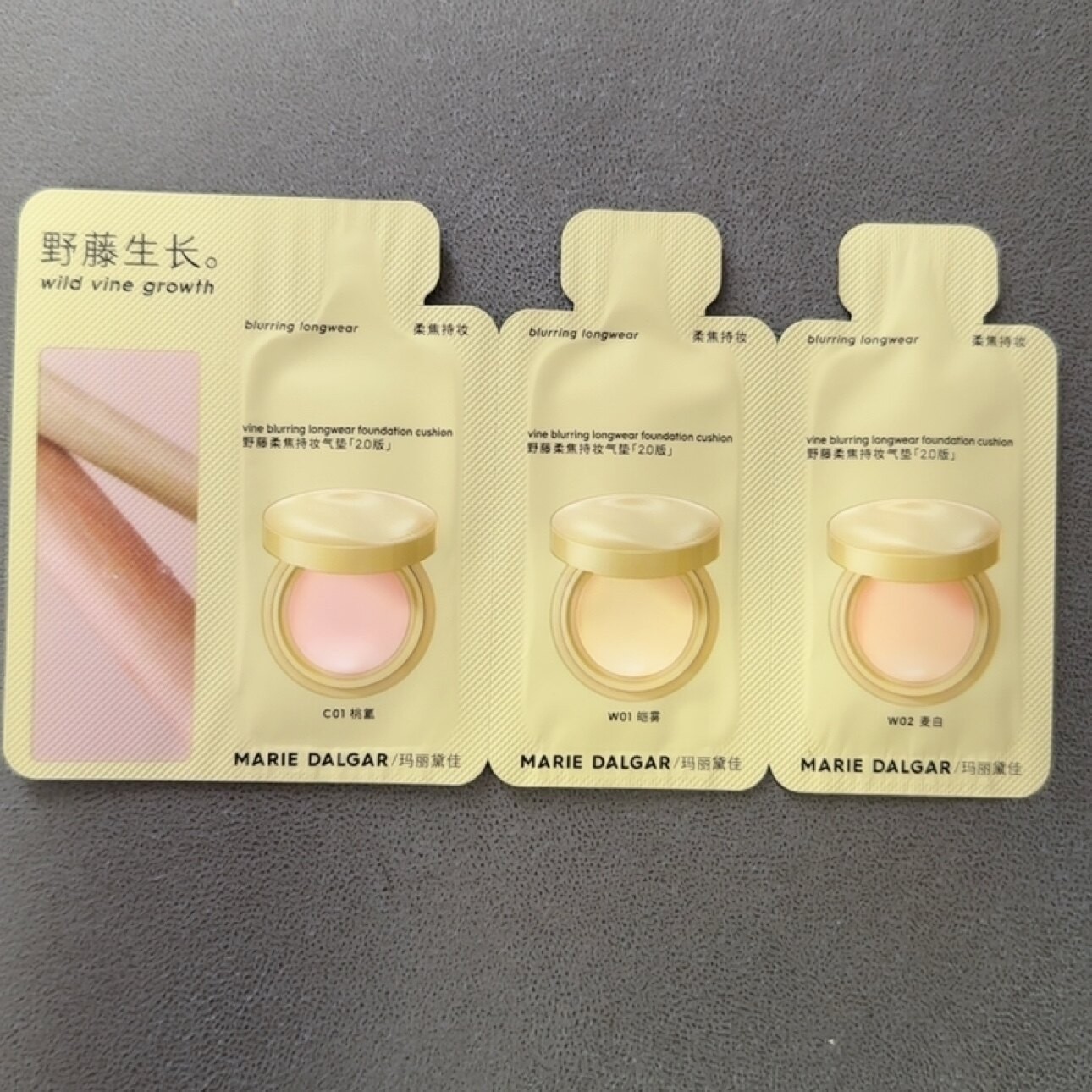 玛丽黛佳野藤柔焦持妆气垫2.0版试色卡修饰防蹭油皮BB霜小样3g图片