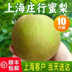 上海庄行蜜梨青皮翠冠梨 大果脆甜多汁 当季新鲜孕妇水果包邮礼盒