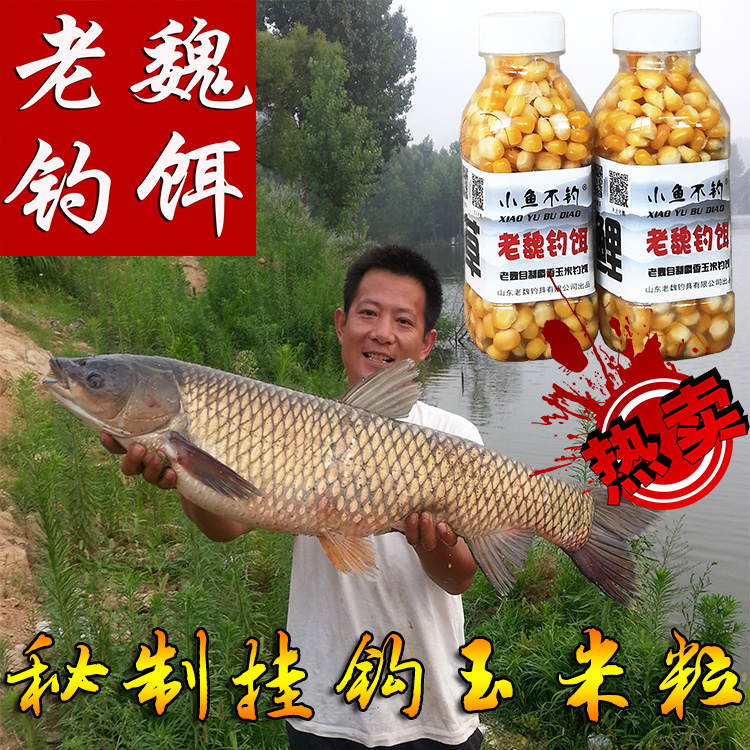 老魏钓饵 秘制玉米粒鱼饵 野钓草鱼鲤鱼青鱼大物颗粒饵料海杆鱼饵