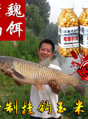 小鱼不钓秘制玉米粒鱼饵