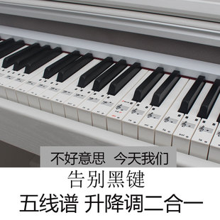 学钢琴教学辅助贴五线谱升降调音符钢琴贴成人儿童自学钢琴入门