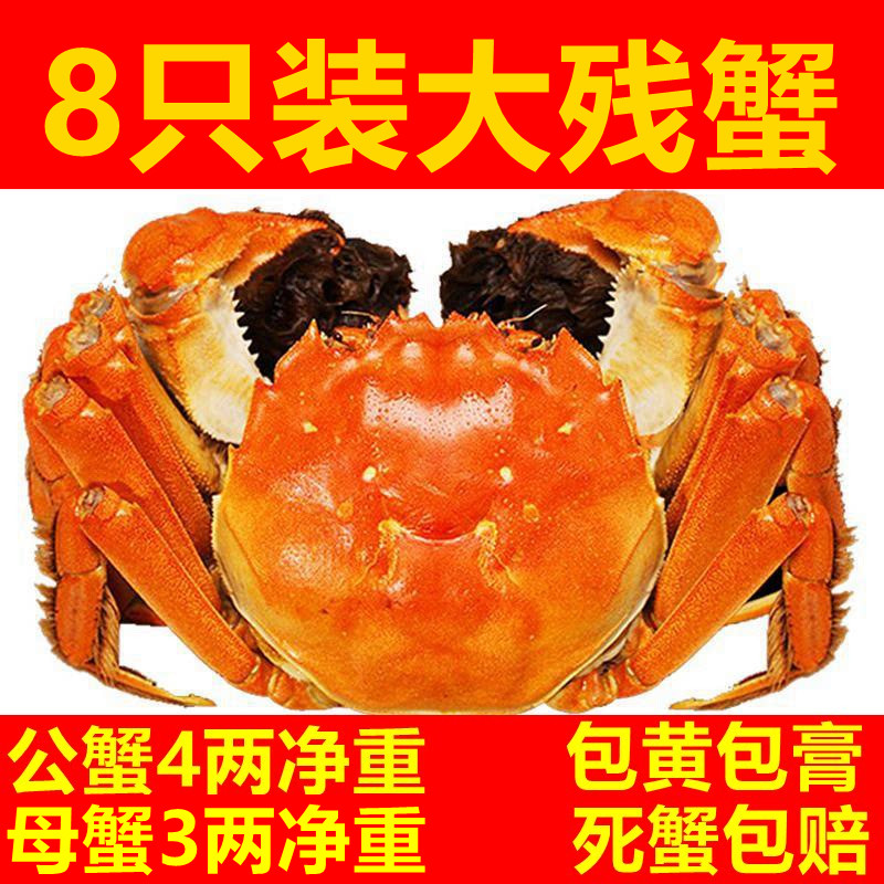 自家养殖,蟹塘直发,实惠
