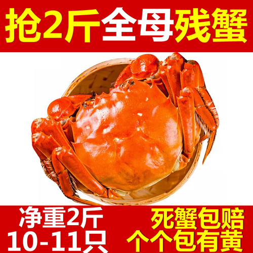 固城湖鲜活净重大闸蟹
