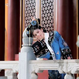 贵妃清代女清朝氅衣原创旗装旗重工演讲比赛印花宫廷格格服装皇