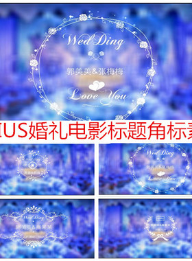 edius婚礼录像视频角标标题视频模板清新白色婚礼主题字体动画