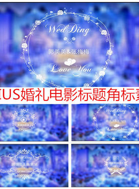 edius婚礼录像视频角标标题视频模板清新白色婚礼主题字体动画