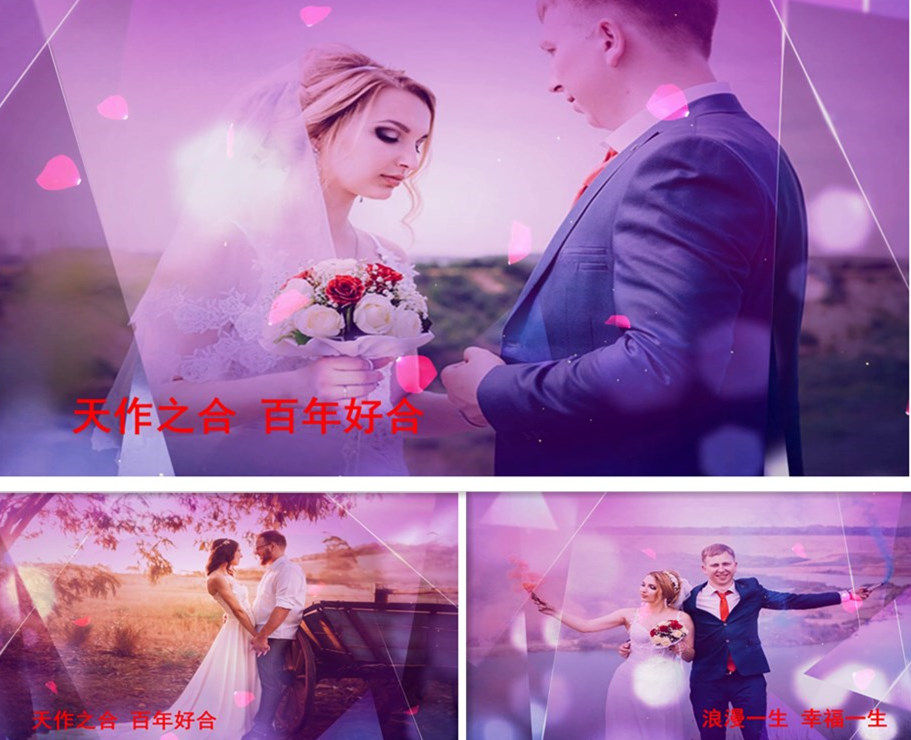 edius浪漫婚庆婚礼婚庆片头模板结婚庆典视频婚礼片头婚纱照.H396