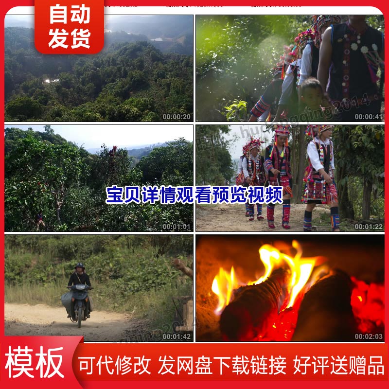 西双版纳勐海普洱茶故乡制茶工艺过程布朗族古树茶实拍视频素材