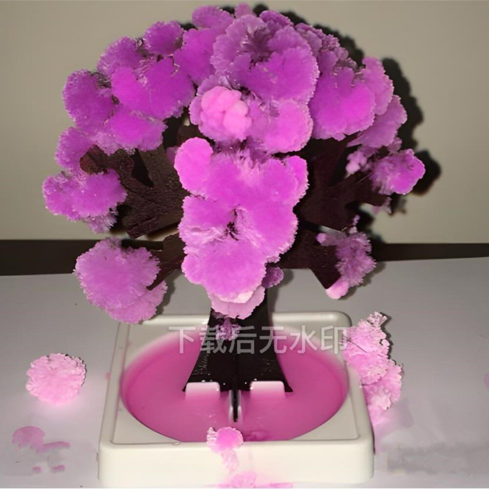 中号樱花树纸树开花日本同款物理