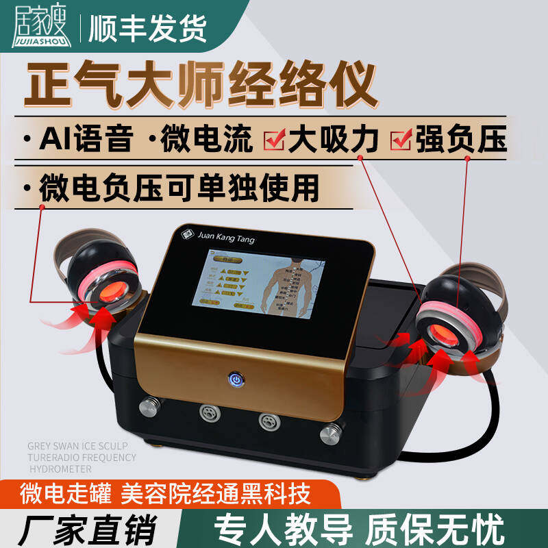 正气大师美容院专用生物电养生仪