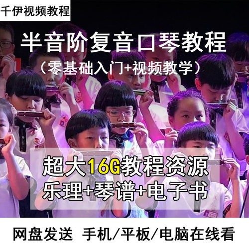 口琴教程视频入门教学10孔半音阶布鲁斯24孔复音自学资料基础教程