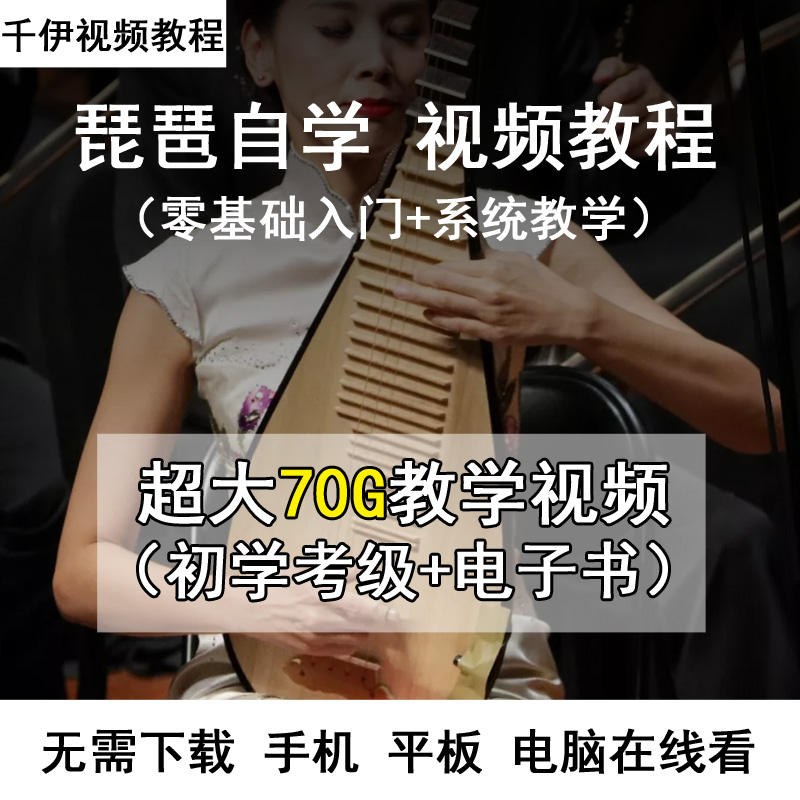 初学入门从零开始考级曲集琵琶