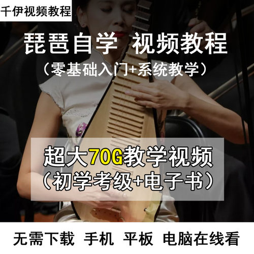 初学入门从零开始考级曲集琵琶