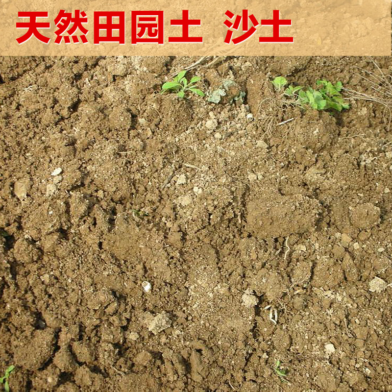 田园土沙土家庭园艺栽花种菜土壤 营养土大包黄土养花土泥土包邮