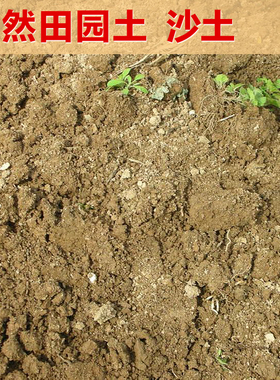 田园土沙土家庭园艺栽花种菜土壤 营养土大包黄土养花土泥土包邮