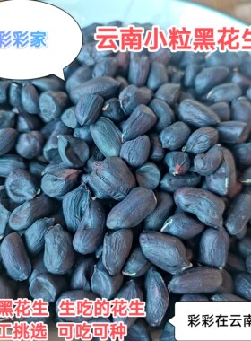 云南黑花生种子紫花生干货农家自种小粒黑皮花生紫皮花生富硒花生