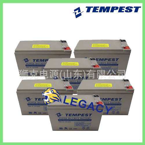 美国TEMPEST蓄电池TBC10、TBC8、TBC21、TBC33、TBC4、TBC54电瓶