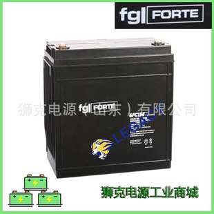 FG12 55D 12V55Ah 德国FG FORTE电池 电瓶 AGV FORTE蓄电池