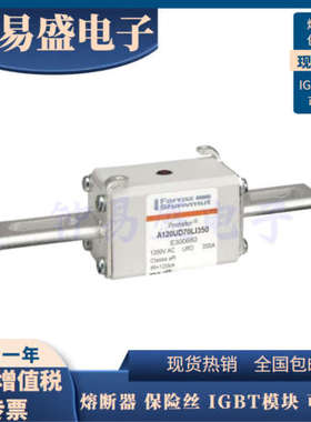 全新罗兰熔断器 A120UD71TTI550 L301034/A120UD71TTI630 M301035