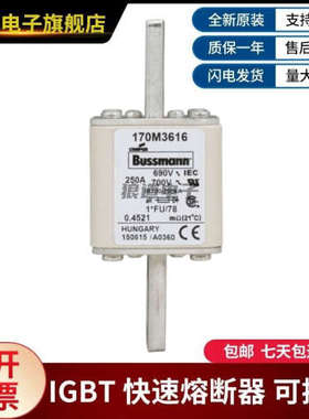 供应原装正品170M3616 170M3617 170M3618 170M3619巴斯曼熔断器
