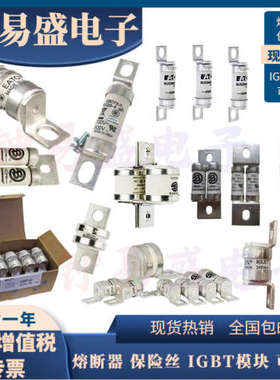 BUSSMANN熔断器 500FMM 550FMM 630FMM 700FMM BS88系列熔断器全