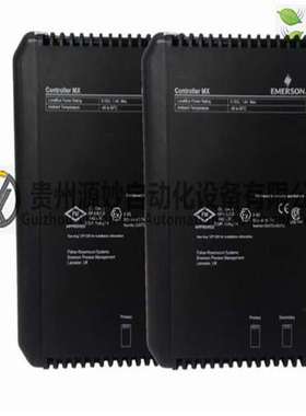 EMERSON4256A01G01772B450G02输入输出模块