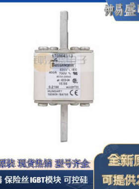 美国BUSSMANN熔断器170M5158  170M5159  170M5160  170M5161全新