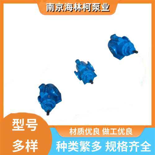 CW054AL1R1螺杆泵C16KC11RMB C22AC81RNA C23KC81RMA/G412 nm045b