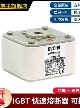全新原装正品熔断器170M7542 170M7031 170M7548电子元器件
