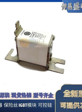 美国BUSSMANN熔断器170M2608  170M2609  170M2610  170M2611