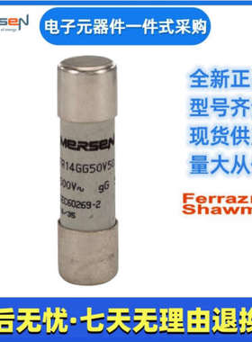 美尔森       FR14GG50V20P   FR14GG50V50P       熔断器