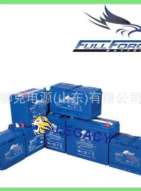 美国FULLFORCE蓄电池HC8/BTX9-BS、HC14A/BTX20L--BS铅酸电瓶