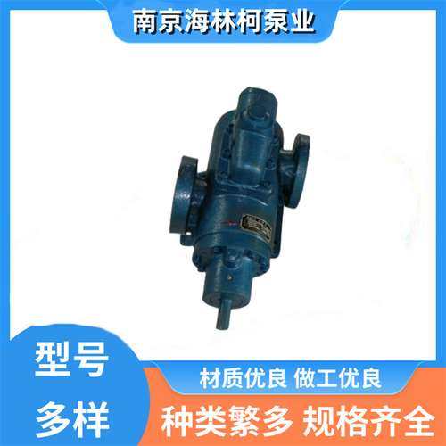 BN35-12E螺杆泵SNF210R46U12.1W2定子ACE038N3NTBP转子C1BBC11RPH