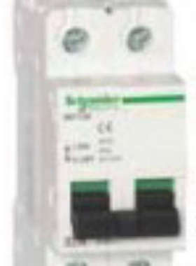 A9F84302好价格国外采购隔离开关YULONG INT 2P 100A A9F84303