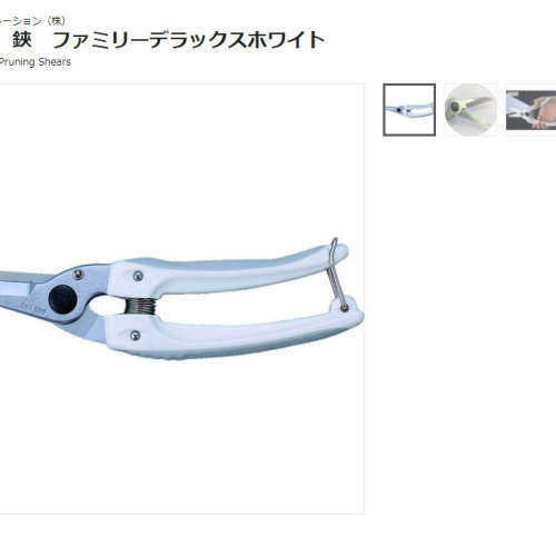 森川贸易日本爱丽斯ARS\t剪刀\t140DX-W其他剪刀